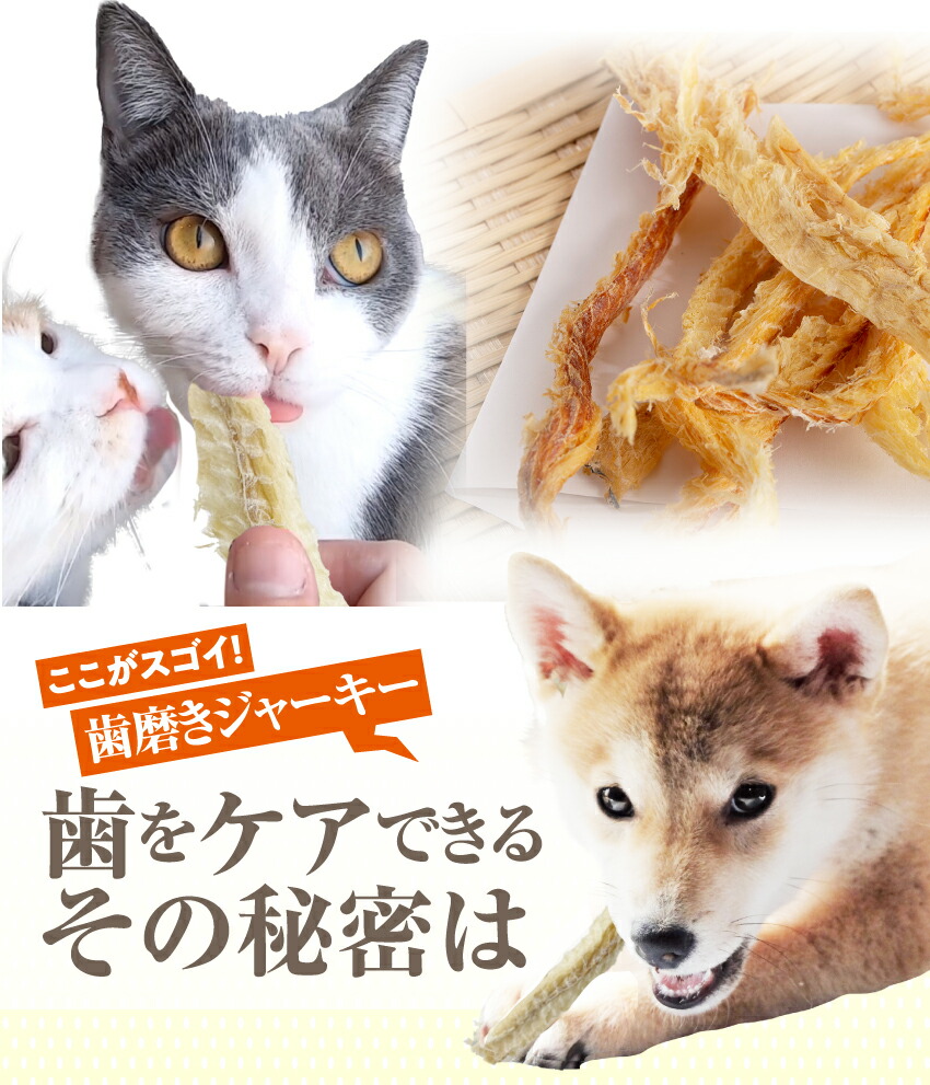 犬・猫・ペットの口臭・息が臭い、歯磨き・歯石に無添加のおやつ 歯磨きジャーキー 魚のおやつ・歯周病