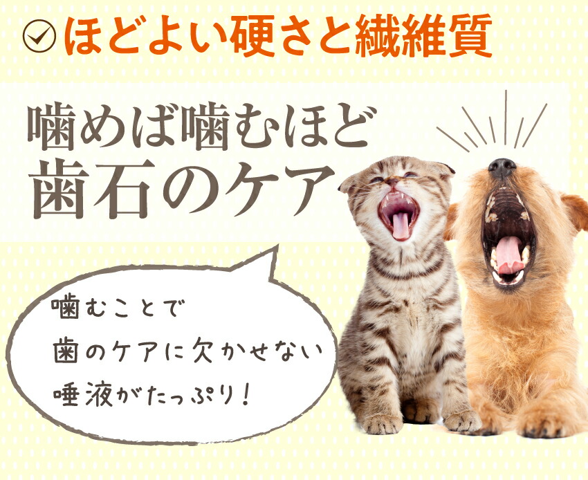 犬・猫・ペットの口臭・息が臭い、歯磨き・歯石に無添加のおやつ 歯磨きジャーキー 魚のおやつ・歯周病