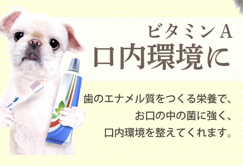 犬・猫・ペットの口臭・息が臭い、歯磨き・歯石に無添加のおやつ 歯磨きジャーキー 魚のおやつ・歯周病