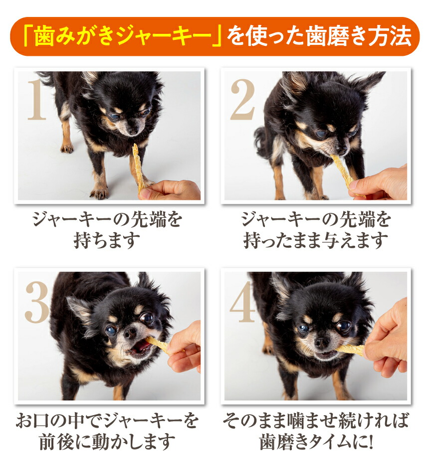 犬・猫・ペットの口臭・息が臭い、歯磨き・歯石に無添加のおやつ 歯磨きジャーキー 魚のおやつ・歯周病