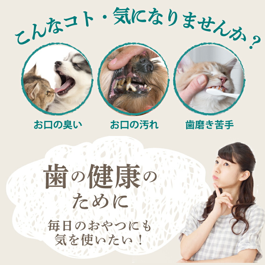 犬 猫用 歯磨き ジャーキー 鱈 歯石 歯垢 国産 無添加 オーガニック ガム 歯磨きジャーキー ペット用 歯磨きガム | ドッグダイナー | 06