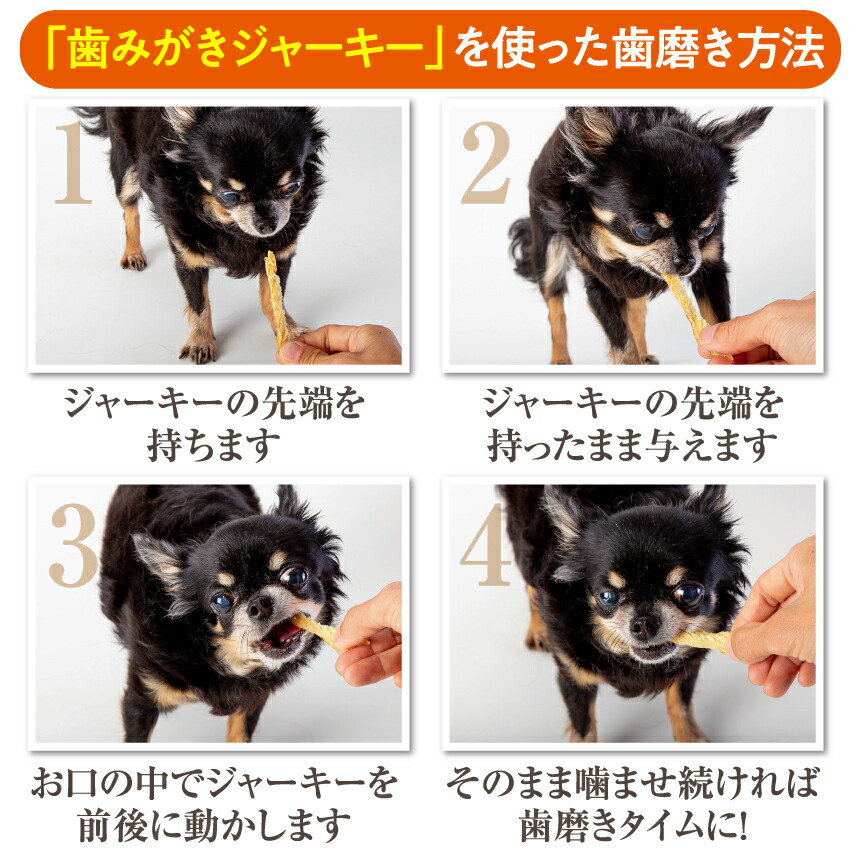 犬 猫用 歯磨き ジャーキー 鱈 歯石 歯垢 国産 無添加 オーガニック ガム 歯磨きジャーキー ペット用 歯磨きガム | ドッグダイナー | 16