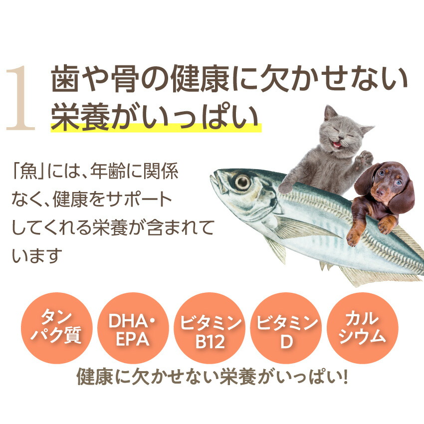 ドッグダイナー 犬 猫用 おやつ 魚のジャーキー 5袋 無添加 有機 国産