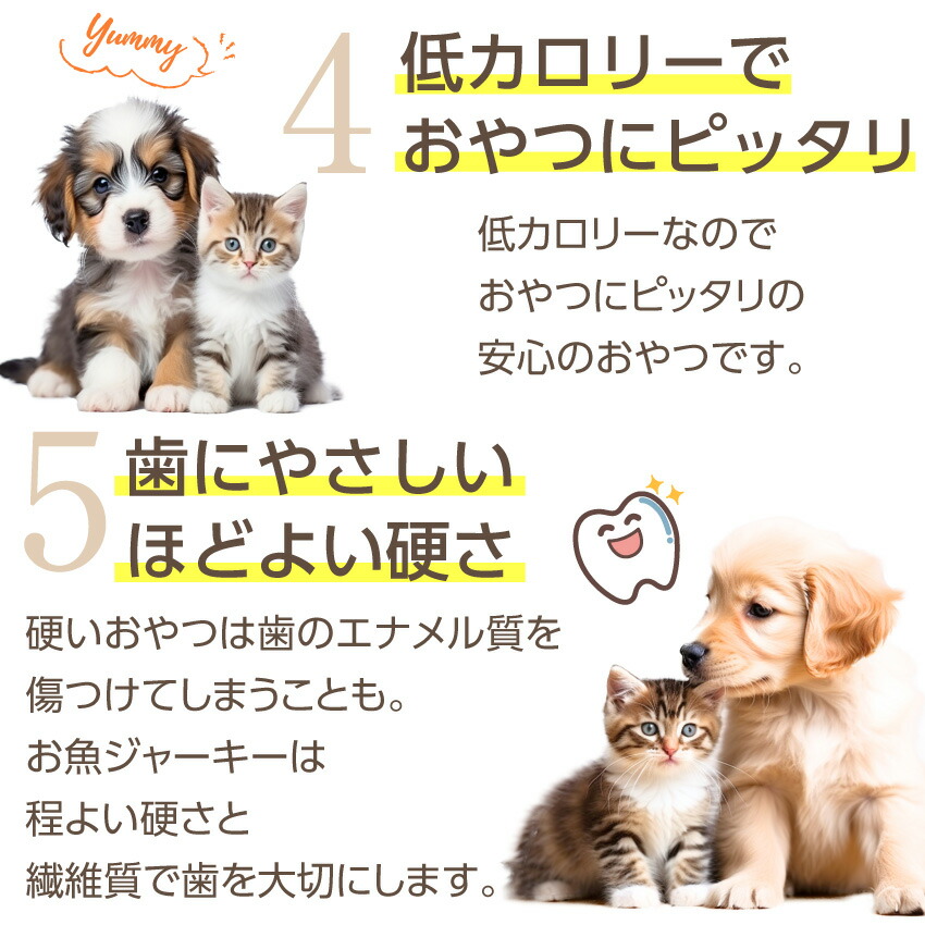 ドッグダイナー 犬 猫用 おやつ 魚のジャーキー 5袋 無添加 有機 国産