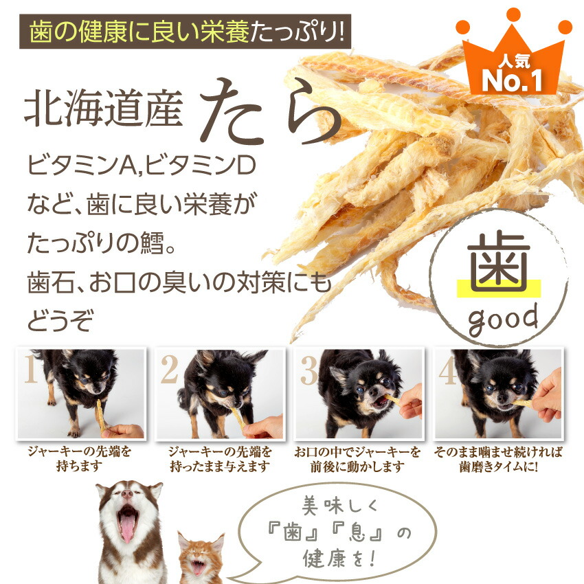 ドッグダイナー 犬 猫用 おやつ 魚のジャーキー 5袋 無添加 有機 国産