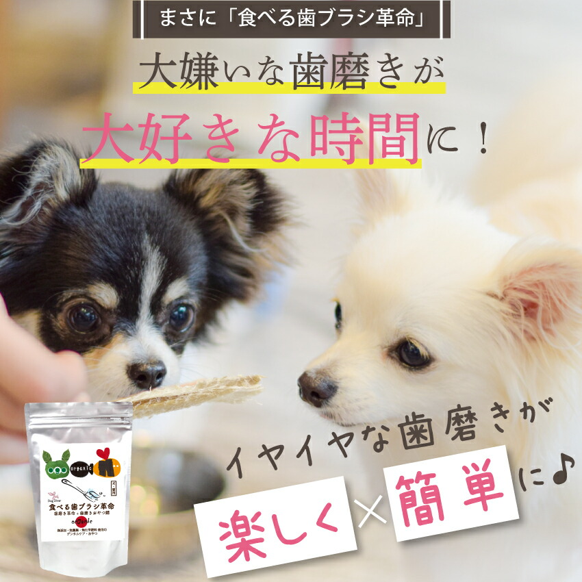 ドッグダイナー 犬用 歯磨きおやつ 食べる歯ブラシ・革命 小袋 国産 無