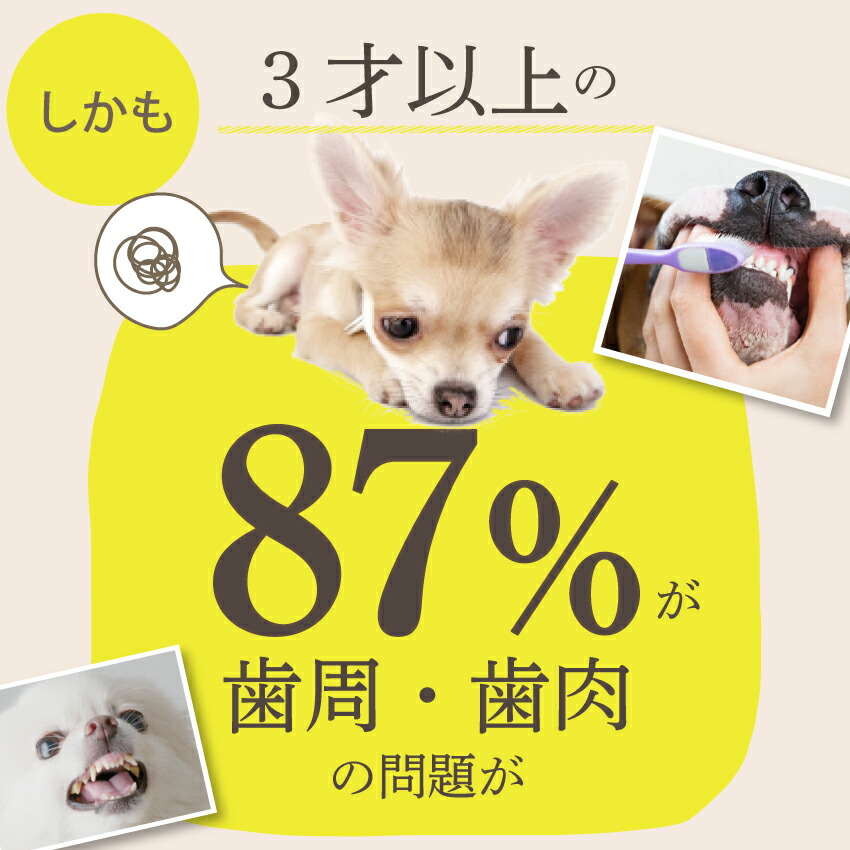 ドッグダイナー 犬用 歯磨きおやつ 食べる歯ブラシ・革命 小袋 国産 無