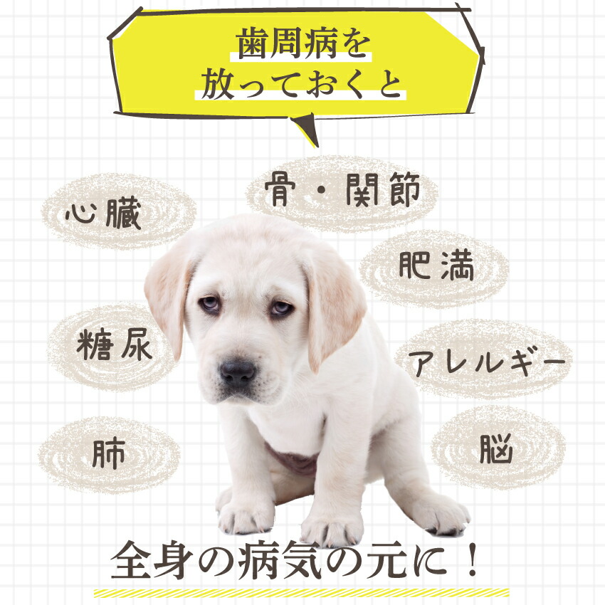 ドッグダイナー 犬用 歯磨きおやつ 食べる歯ブラシ・革命 小袋 国産 無
