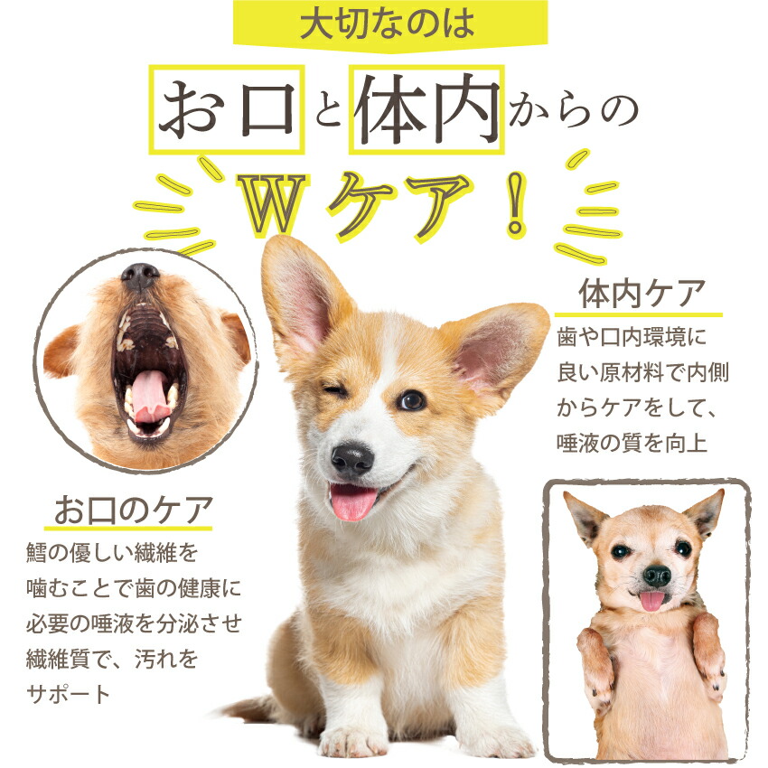 ドッグダイナー 犬用 歯磨きおやつ 食べる歯ブラシ・革命 小袋 国産 無