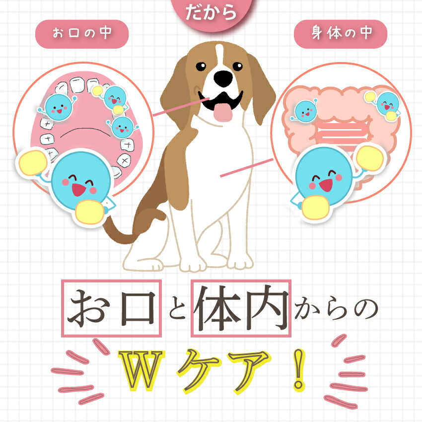 ドッグダイナー 犬用 歯磨きおやつ 食べる歯ブラシ・革命 小袋 国産 無
