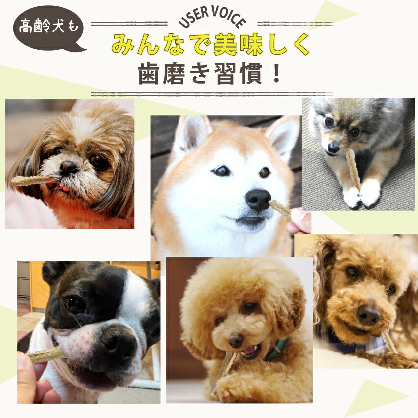 ドッグダイナー 犬用 歯磨きおやつ 食べる歯ブラシ・革命 小袋 国産 無
