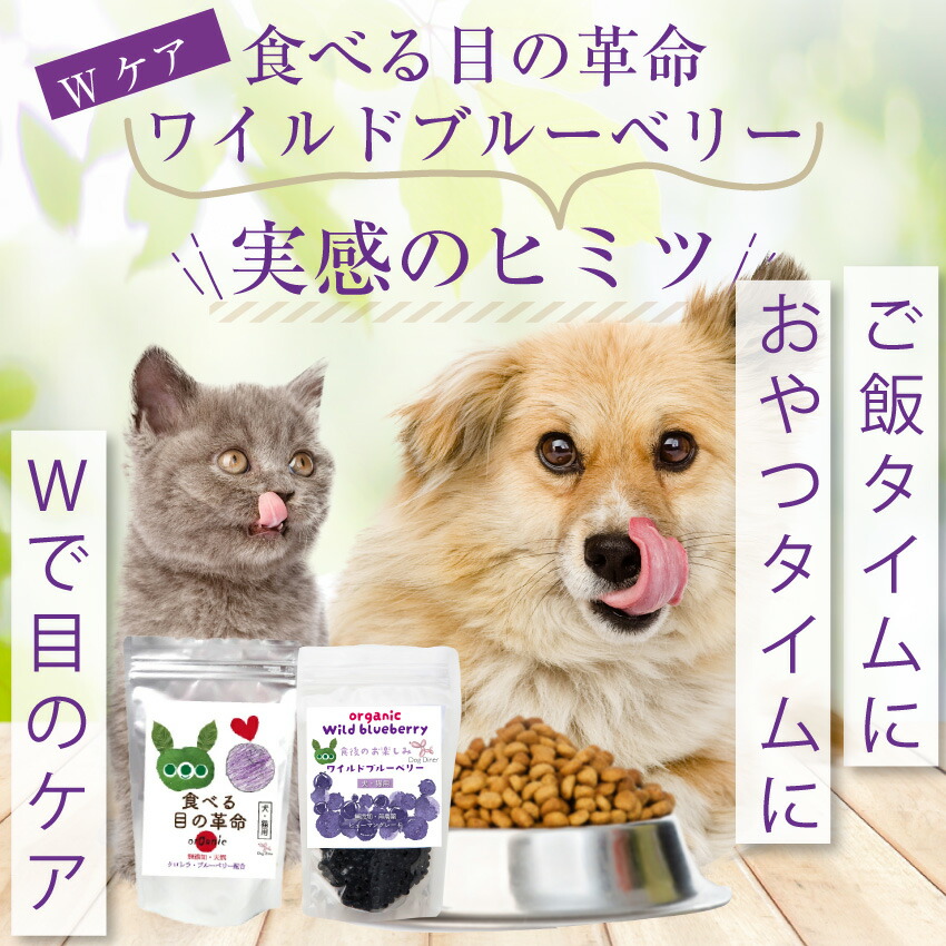 ドッグダイナー 犬 猫 ペットの目の健康に無添加・有機のワイルド