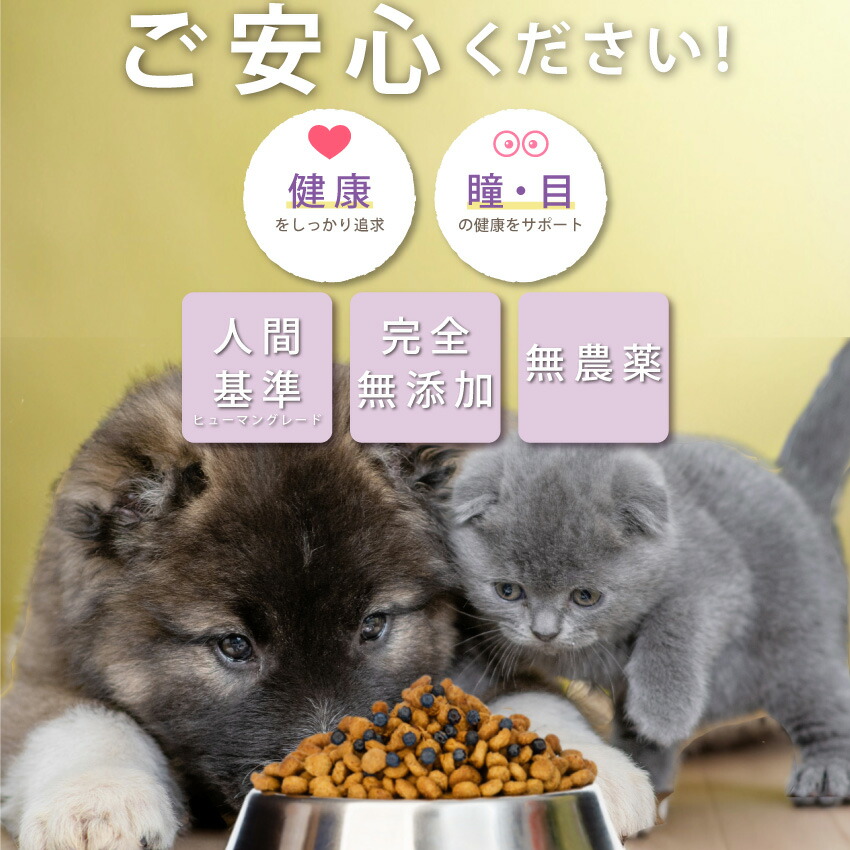 ドッグダイナー 犬 猫 ペットの目の健康に無添加・有機のワイルド