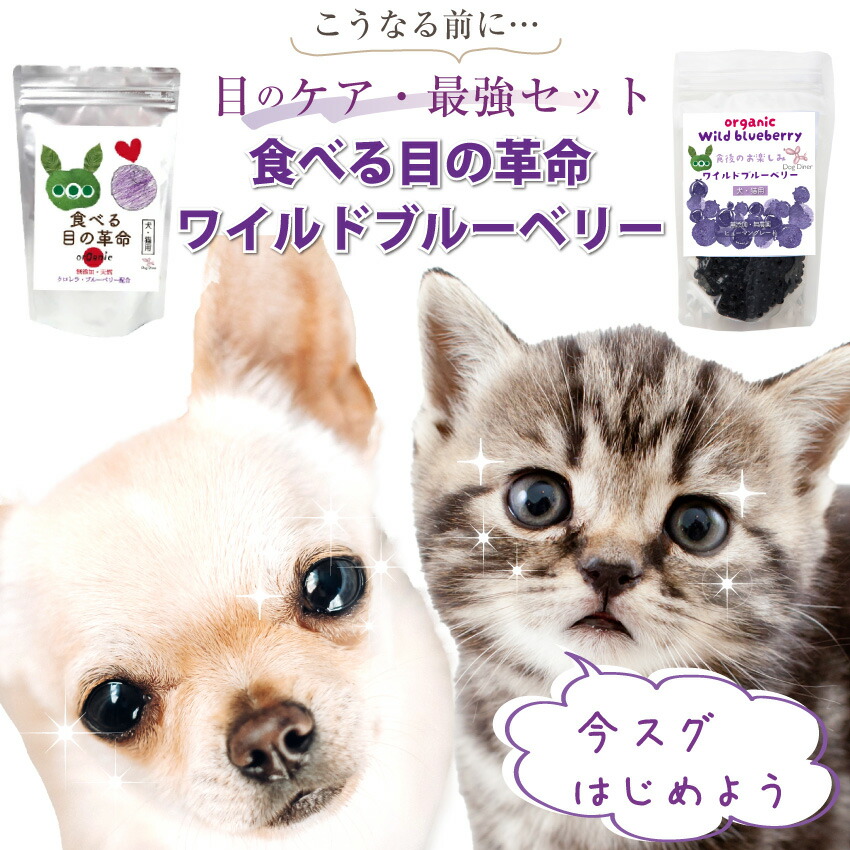 犬 猫 ペットの目の健康に無添加・有機のワイルドブルーベリーとサプリのセット おやつ 涙焼け 涙焼け 目ヤニ 犬用 猫用 サプリメント ブルーベリー  ルテイン : eyecareset : 犬のご飯とケーキのドッグダイナー - 通販 - Yahoo!ショッピング