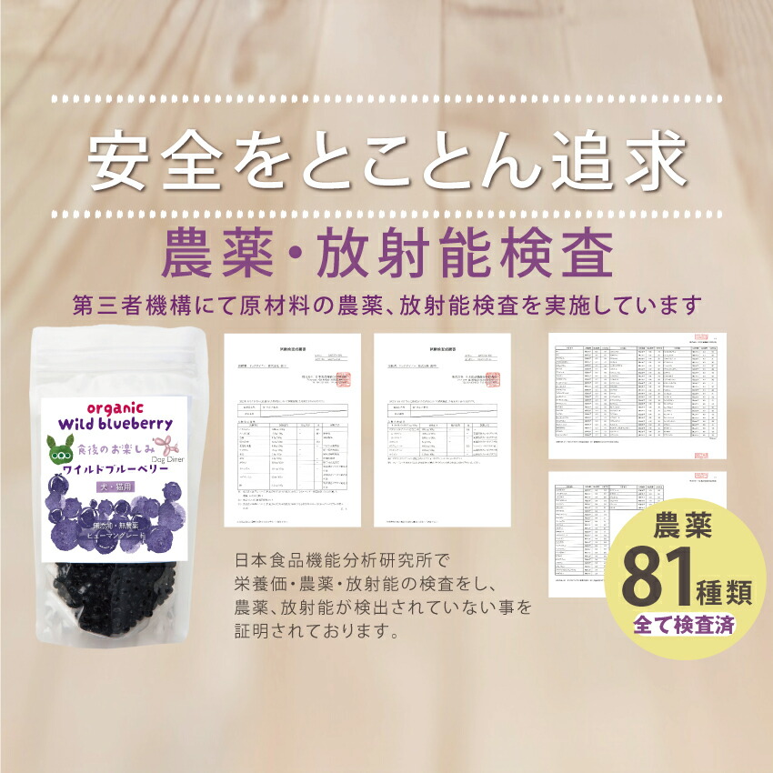 ドッグダイナー 犬・猫用 ワイルドブルーベリー 100g×3袋(300g) 無添加