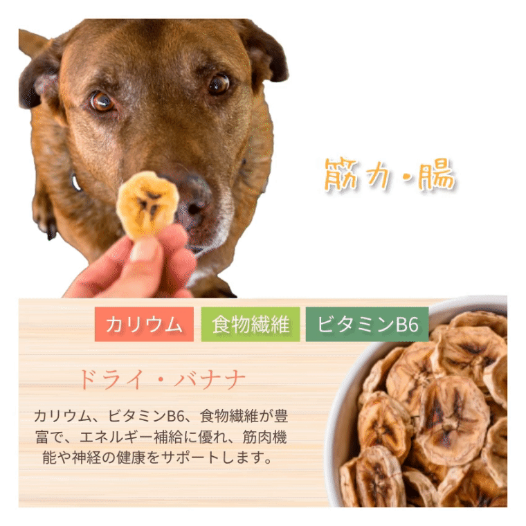 ドッグダイナー 犬 猫 ペット用ドライフルーツ ミックス 1袋 無添加