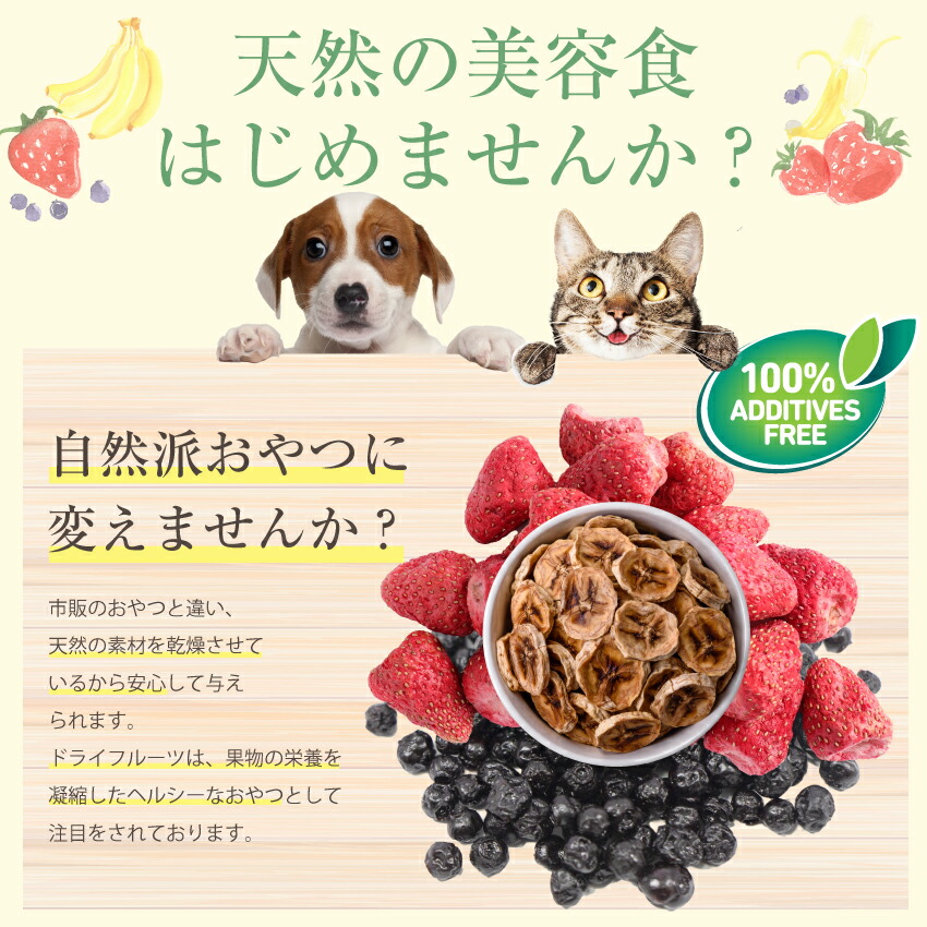 ドッグダイナー 犬 猫 ペット用ドライフルーツ ミックス 1袋 無添加