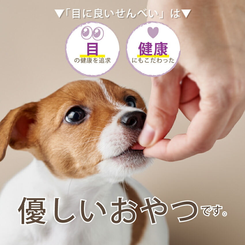 犬 おやつ 目に良いせんべい 5袋 目 瞳 視力 無添加 国産 有機 天然 減塩 低カロリー 犬用おやつ 涙焼け ケア アントシアニンが豊富な紫いも  オーガニック : meniyoisenbei : 犬のご飯とケーキのドッグダイナー - 通販 - Yahoo!ショッピング