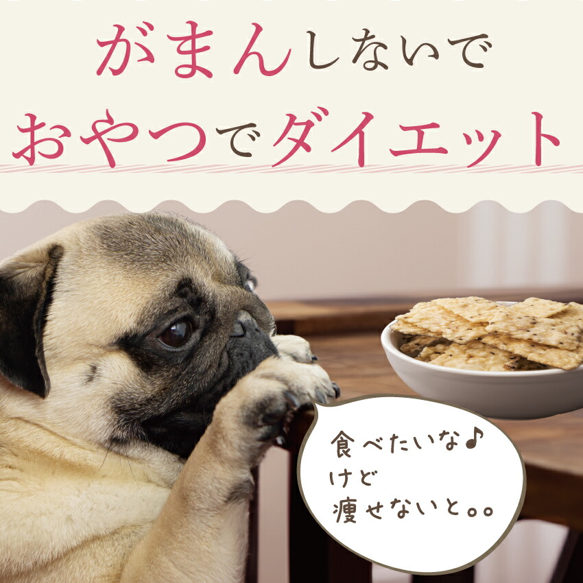ドッグダイナー 犬 おやつ ダイエット せんべい 10袋 無添加 国産 有機