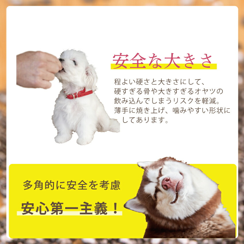ドッグダイナー 犬 おやつ ダイエット せんべい 10袋 無添加 国産 有機