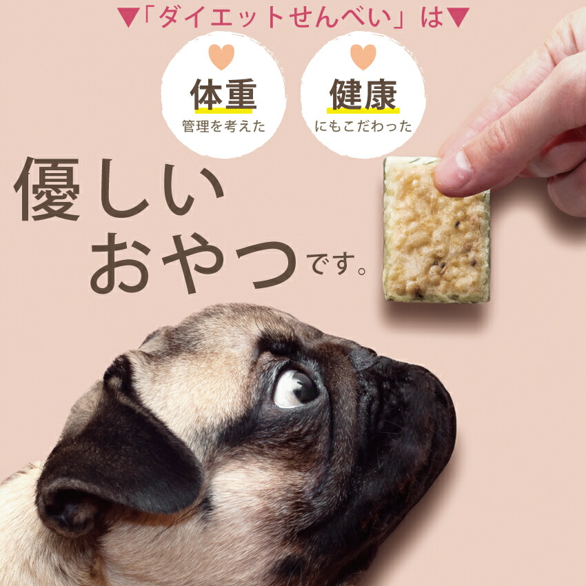 ドッグダイナー 犬 おやつ ダイエット せんべい 10袋 無添加 国産 有機