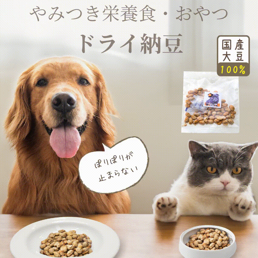 ドッグダイナー 犬用 ドライ納豆 おやつ フリーズドライ納豆 10袋 国産