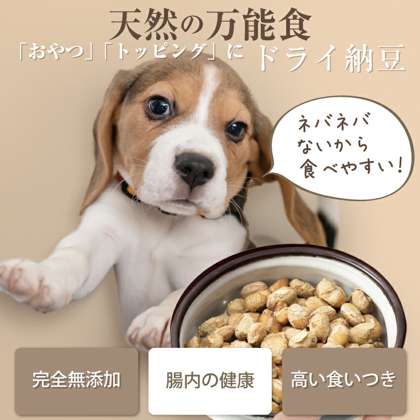  CANIN ドライドッグフード　おやつ ドッグダイナー 犬用 ドライ納豆 おやつ フリーズドライ納豆 10袋 国産