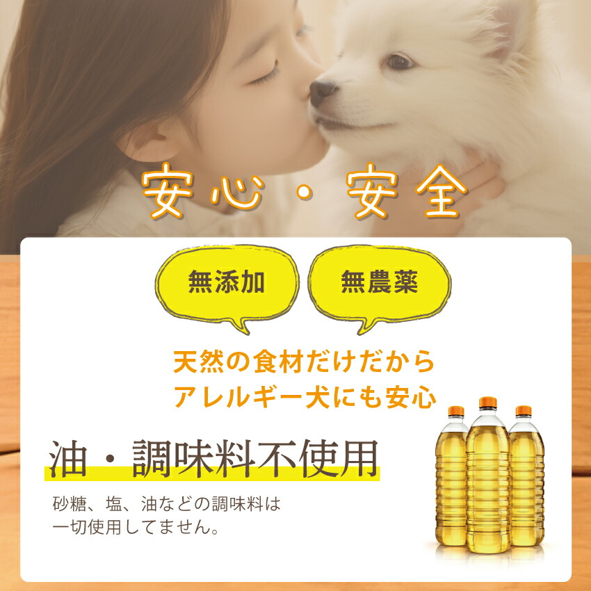 ドッグダイナー 犬用 ドライ納豆 おやつ フリーズドライ納豆 10袋 国産