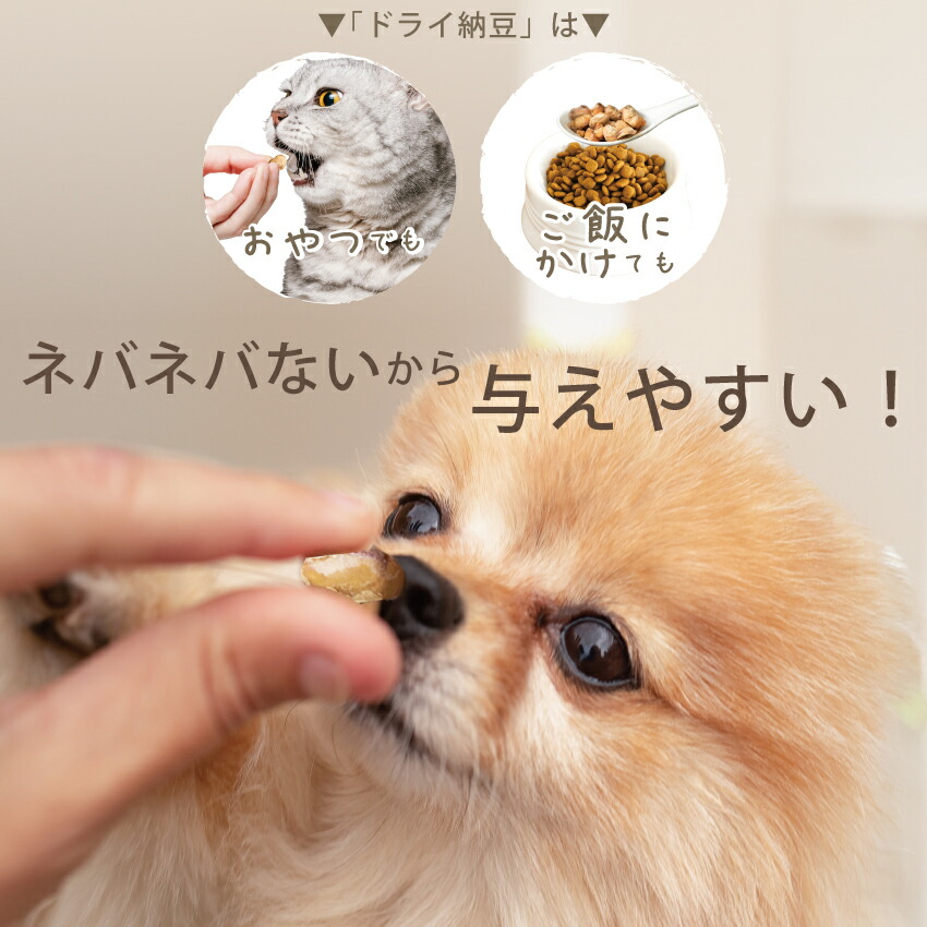 ドッグダイナー 犬用 ドライ納豆 おやつ フリーズドライ納豆 10袋 国産