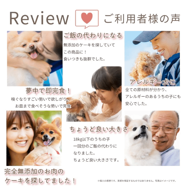 犬用ケーキ 名入れ メッセージ入れ可能 犬 誕生日ケーキ 鶏肉のミートローフ ケーキ 無添加 | ドッグダイナー | 06