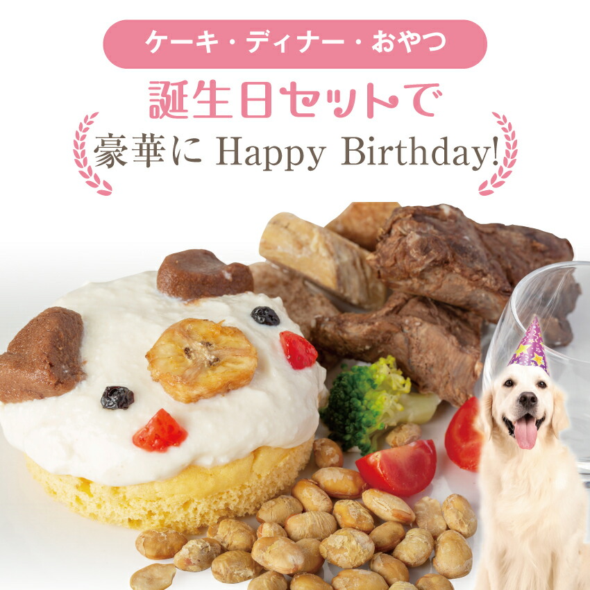 ドッグダイナー 犬 ケーキ 誕生日ケーキ セット犬用ケーキ 無
