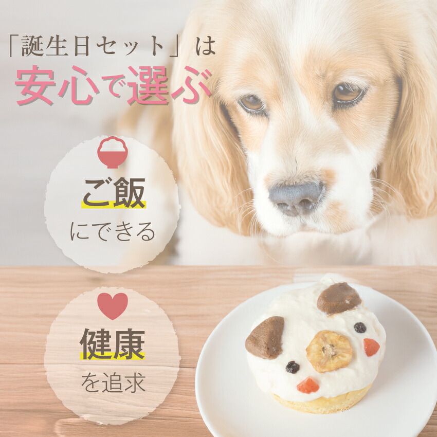 ドッグダイナー 犬 ケーキ 大豆のワンワン 誕生日ケーキ S 犬用ケーキ