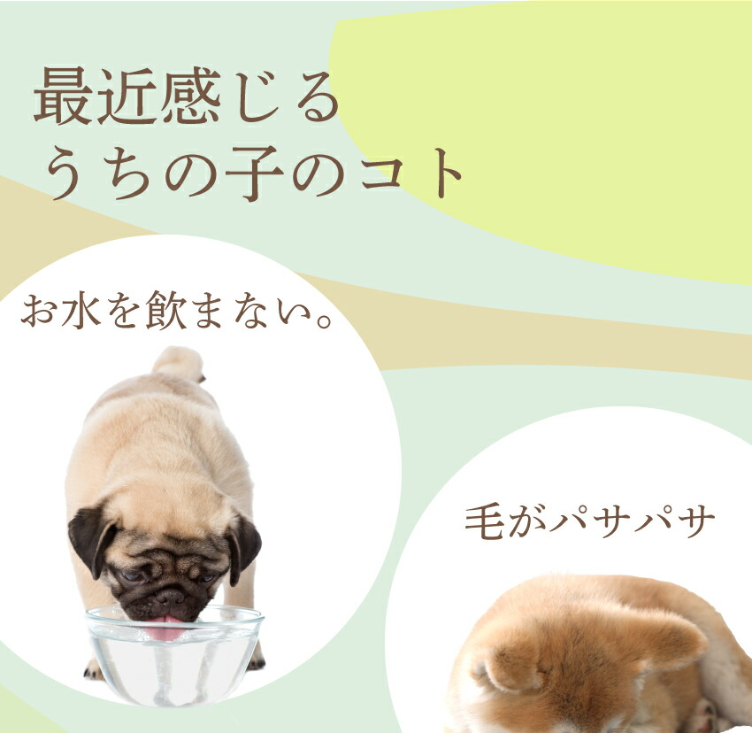 犬・水分補給・栄養補給に無添加・熱中症 スープ 水 犬用 健康飲料