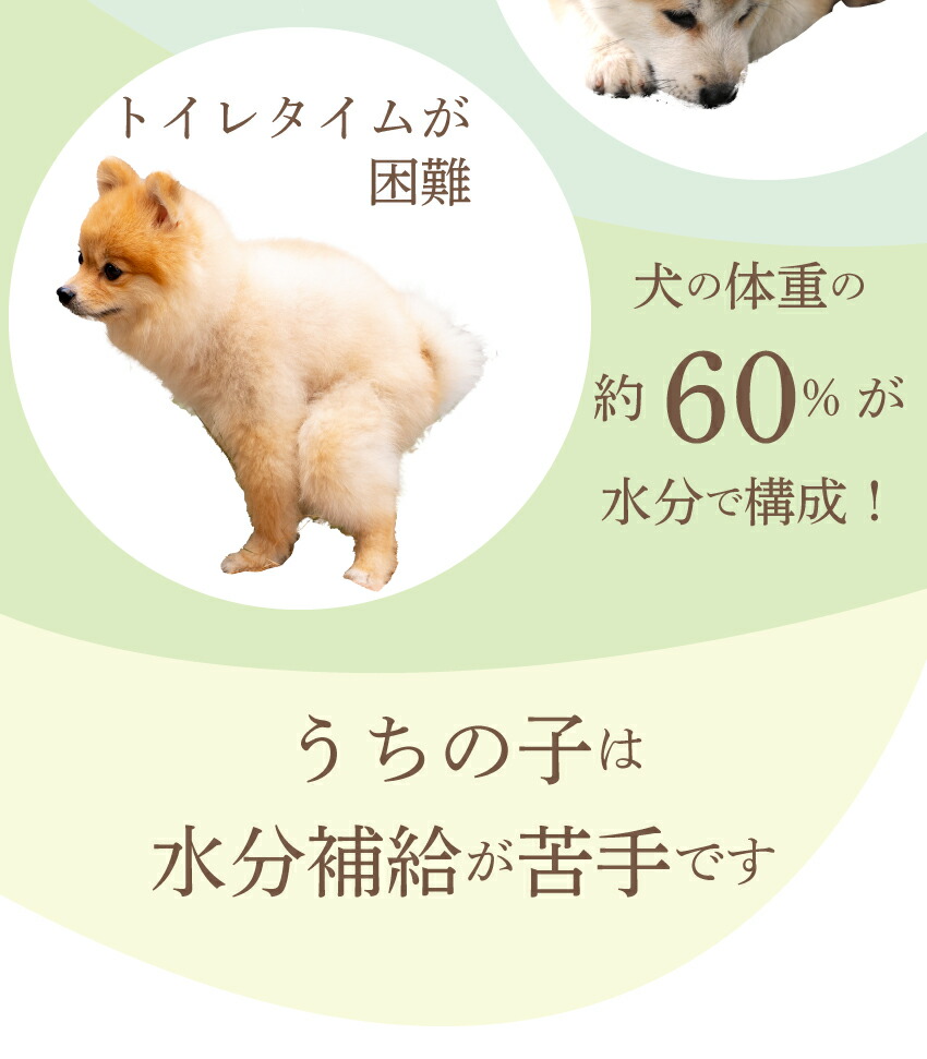 犬・水分補給・栄養補給に無添加・熱中症 スープ 水 犬用 健康飲料