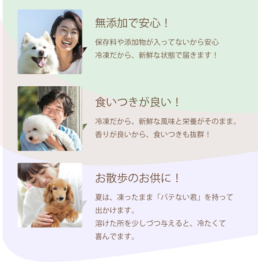 犬・水分補給・栄養補給に無添加・熱中症 スープ 水 犬用 健康飲料
