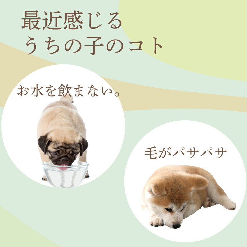 犬用 無添加 熱中症対策飲料 バテない君 1本...の詳細画像5