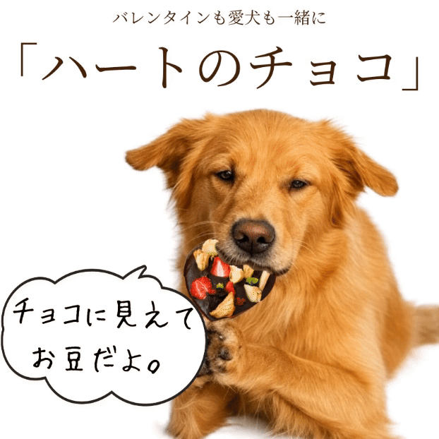 ドッグダイナー 犬用 バレンタイン チョコ ハートのギフト チョコ