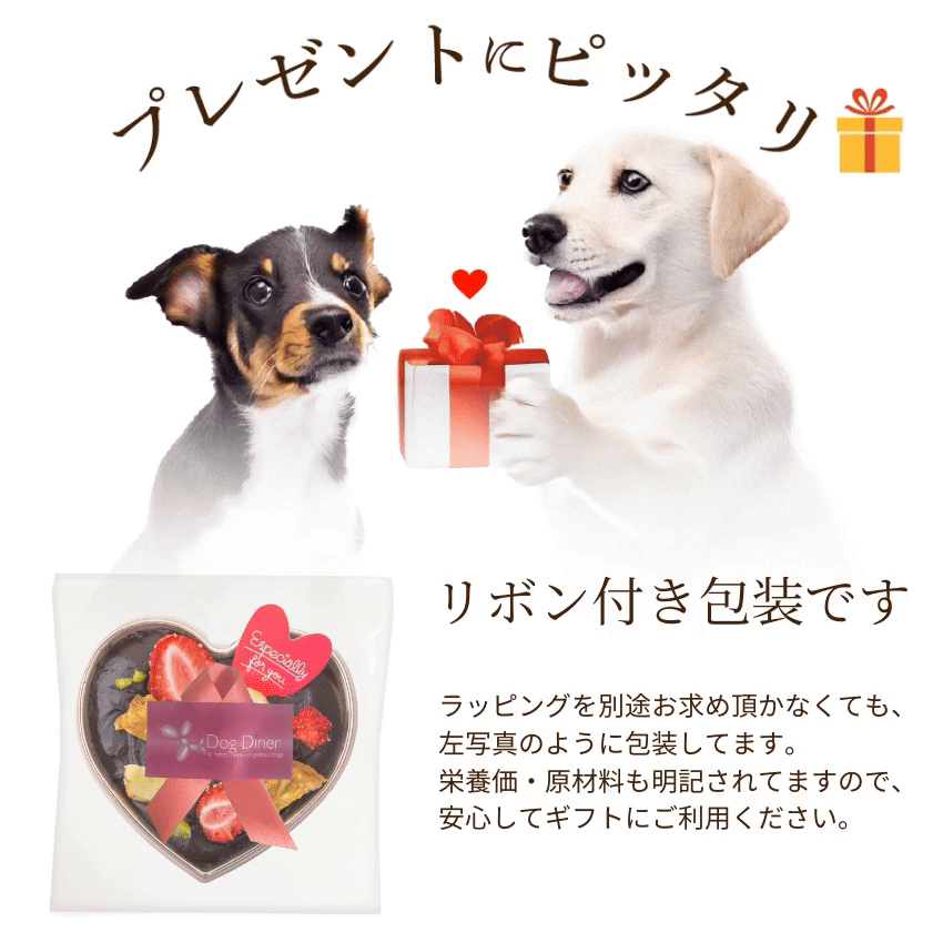 ドッグダイナー 犬用 バレンタイン チョコ ハートのギフト チョコ