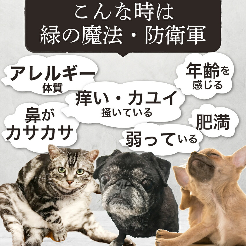 ドッグダイナー 犬 猫 年齢 アレルギー 体重管理 サプリ 無添加 有機