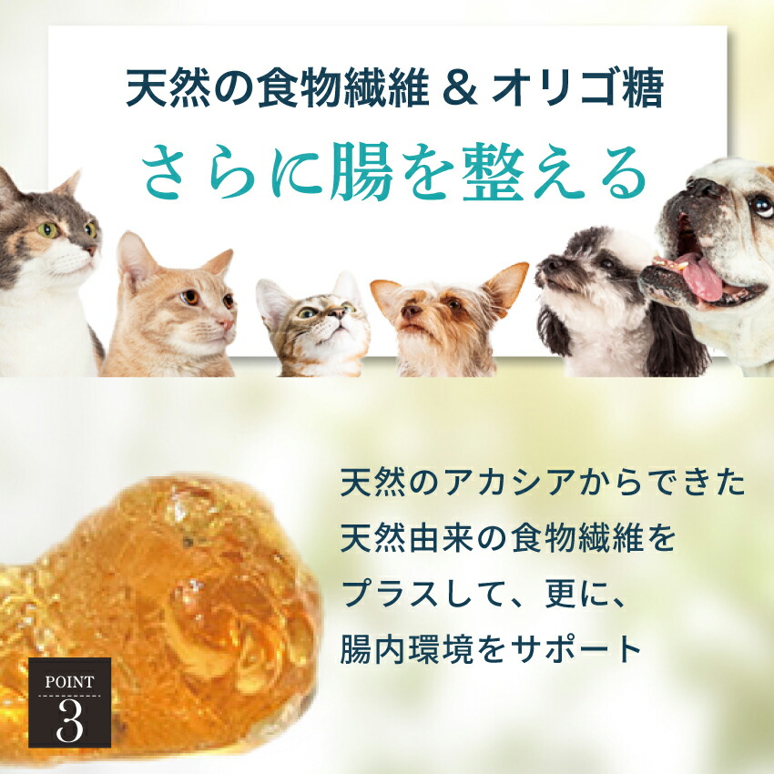 ドッグダイナー 犬 猫 腸 腸内環境 乳酸菌 サプリ 必殺悪玉菌 30g 無