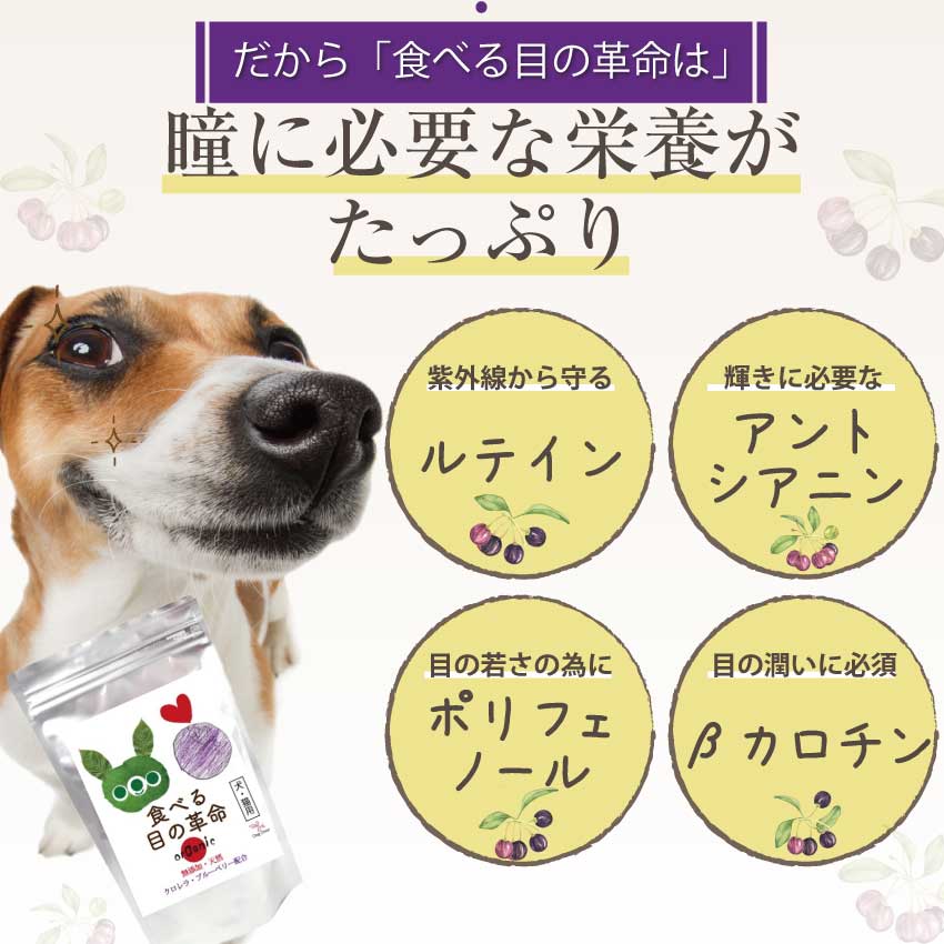 トータルケアのための最新栄養学: 犬と猫の疾患・症状別食餌管理 (サンダースベテリナリークリニクスシリーズ v.2 no.6) トータルケアのための最新栄養学―犬と猫の疾患・症状別食餌管理