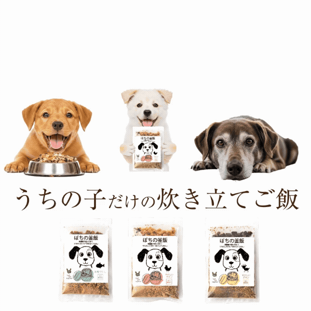 ドッグダイナー 無添加 ぽちの釜飯 1袋 国産 手作り ドッグフード 総合