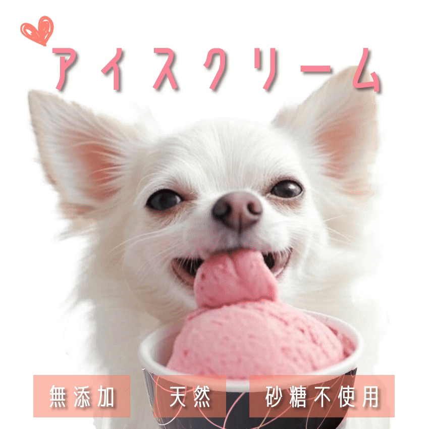 ドッグダイナー 犬用アイスクリーム 無添加 国産 ヒューマングレード
