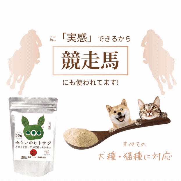 ドッグダイナー 犬 猫 ペット用 関節・腸・年齢・免疫 サプリ(みらいの ドッグダイナー 犬 猫 ペット用 関節・腸・年齢・免疫 サプリ(みらいの