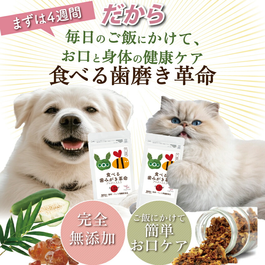 ドッグダイナー 犬 猫 歯磨き サプリ 歯石 歯垢 デンタルケア 無添加