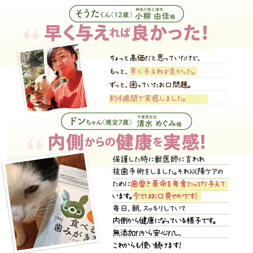 ドッグダイナー 犬 猫 歯磨き サプリ 歯石 歯垢 デンタルケア 無添加