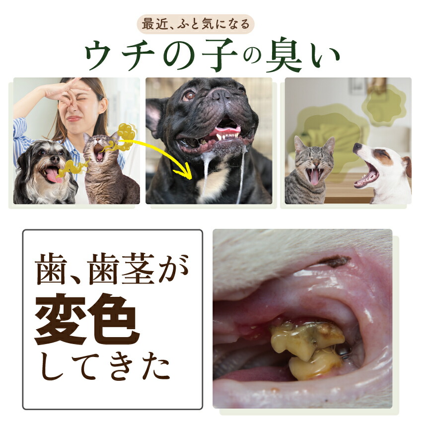 ドッグダイナー 犬 猫 歯磨き サプリ 歯石 歯垢 デンタルケア 無添加