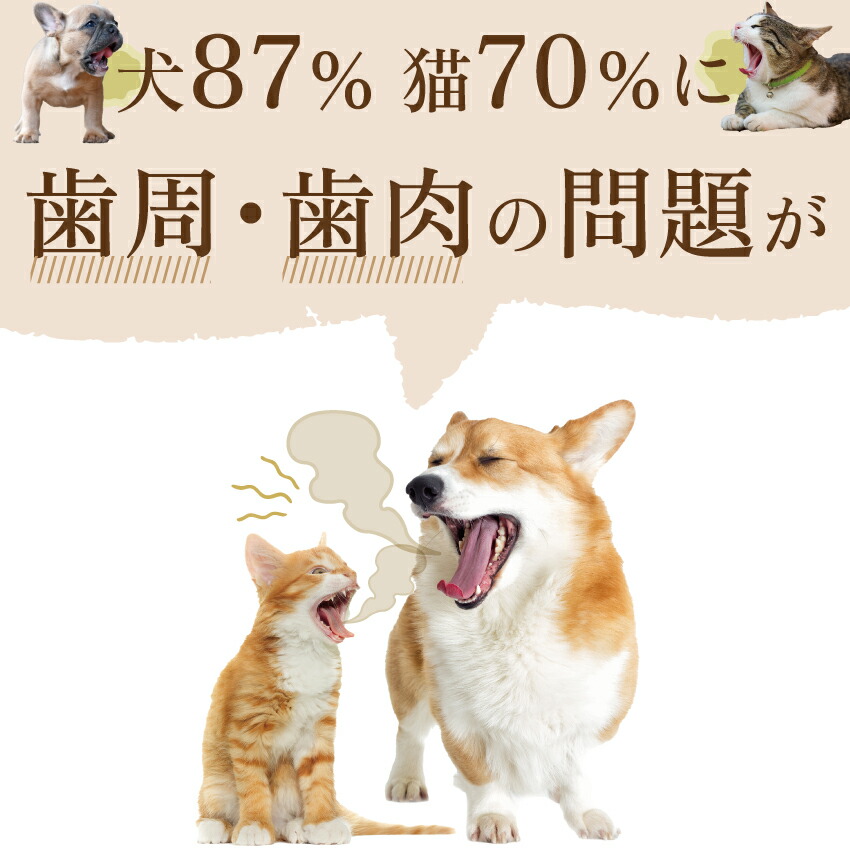 ドッグダイナー 犬 猫 歯磨き サプリ 歯石 歯垢 デンタルケア 無添加