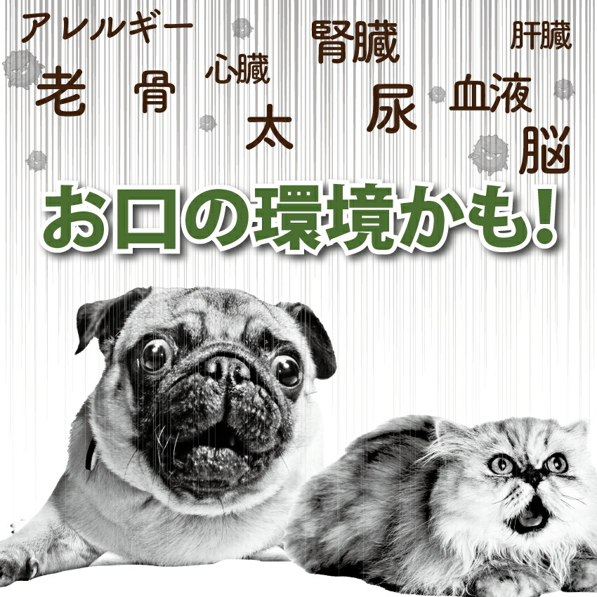 ドッグダイナー 犬 猫 歯磨き サプリ 歯石 歯垢 デンタルケア 無添加