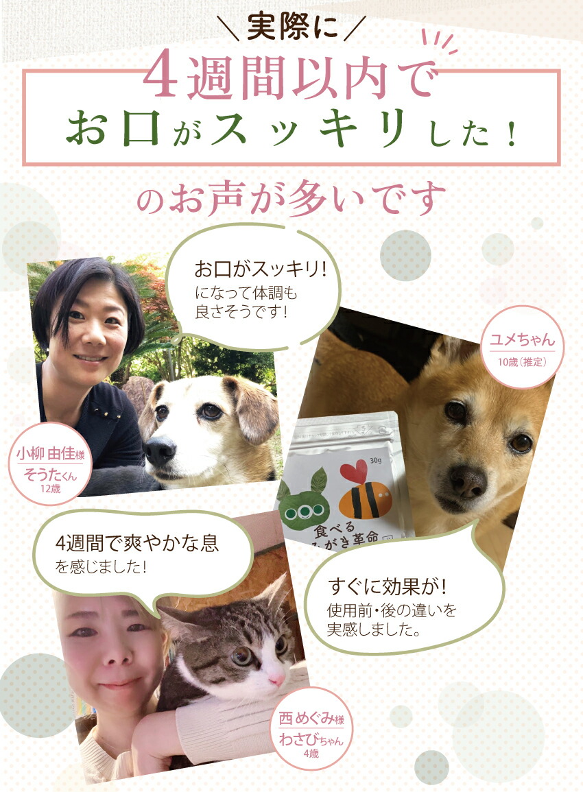 犬・猫・口臭のサプリ